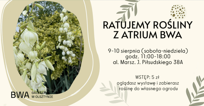 ratowanie kwiatów